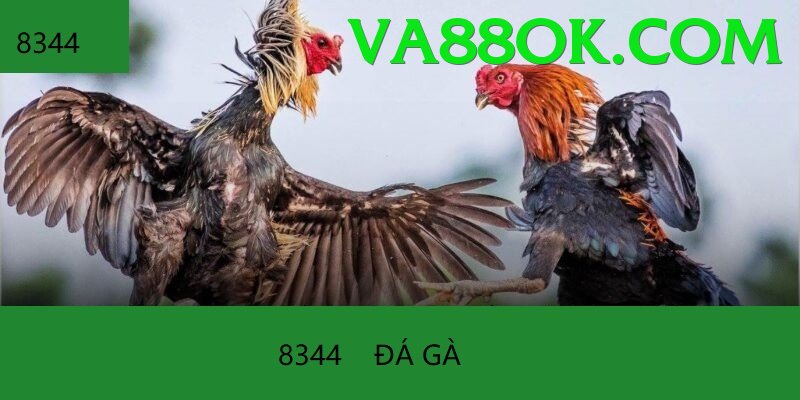 Đá Gà Trực Tiếp - Trải nghiệm tuyệt vời - Metaverse